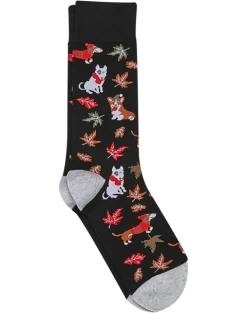 Egara Socks, Dogs And Fall Leaves